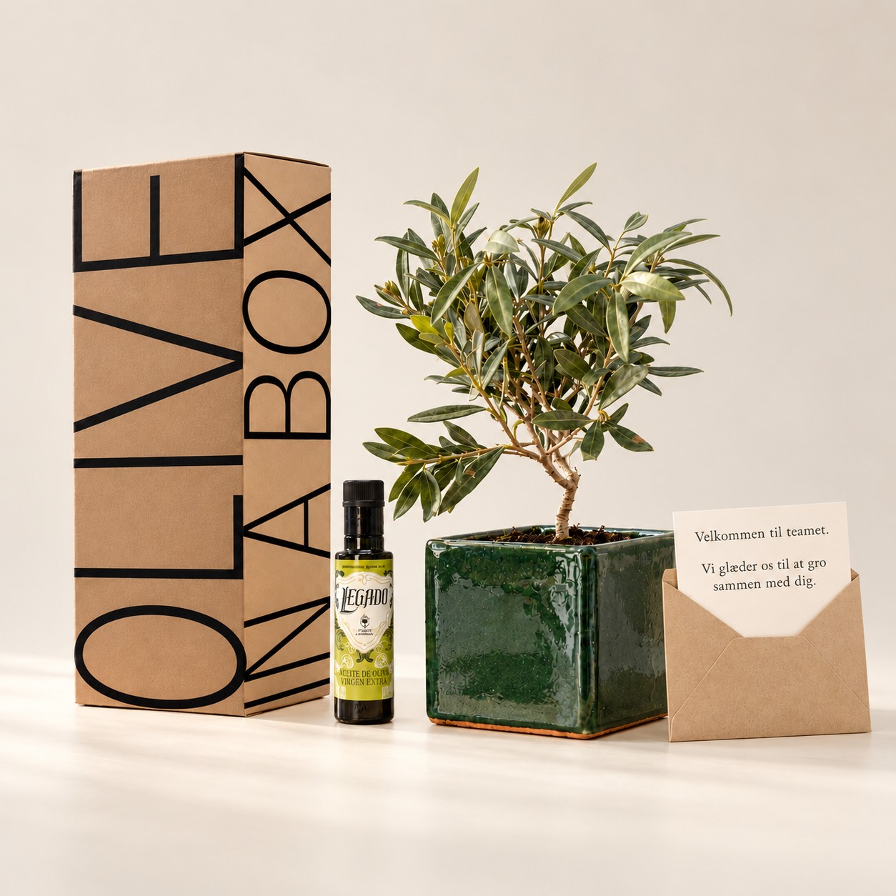 Olive In A Box med grøn potte, olivenolie og personlig hilsen